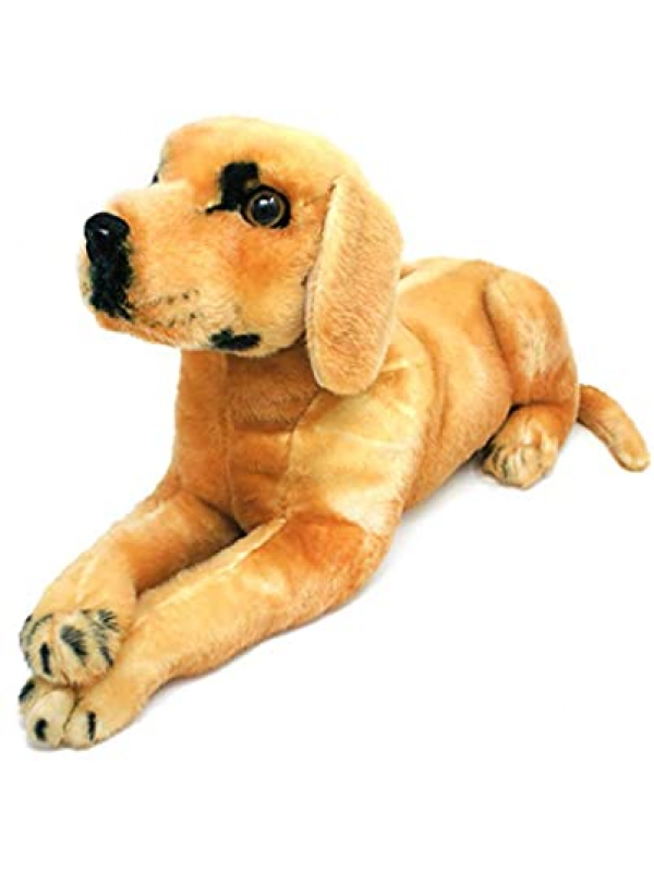 HS11732 PAŞA PELUŞ KÖPEK…