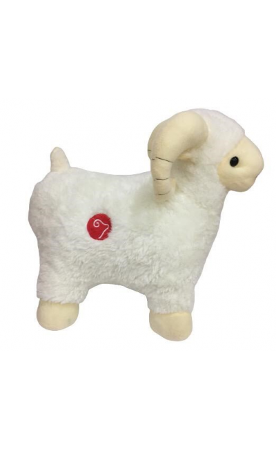 M1-01324 PAŞA PELUŞ KUZU