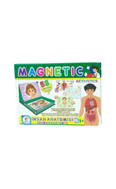 LC7171 Manyetik İnsan Anatomisi Aktivite Oyun Seti 58 Parça