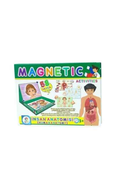 LC7171 Manyetik İnsan Anatomisi Aktivite Oyun Seti 58 Parça