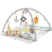 GKD45 FİSHER-PRİCE PERFECT SENSE™ DELÜKS JİMNASTİK MERKEZİ