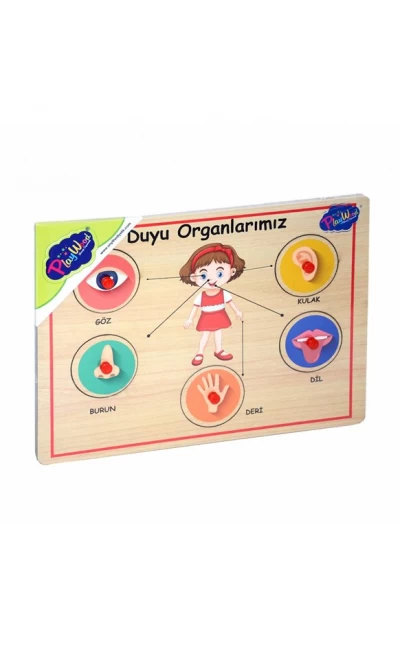 ONY-166/167 ONYIL AHŞAP TUTMALI ORGANLAR