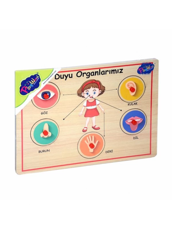 ONY-166/167 ONYIL AHŞAP TUTMALI ORGANLAR…