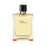 Hermes Terre D'hermes Parfüm Edt 100ml Erkek Parfüm